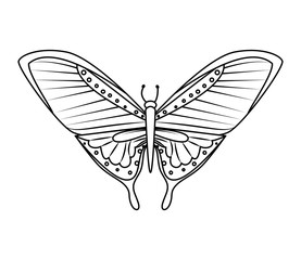beautiful butterfly flying icon