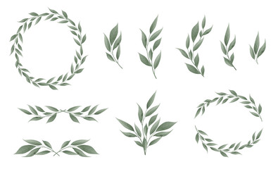 designer elements set collection of greeng leaves herbs