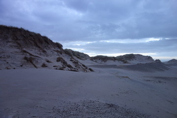 Nebel am Meer