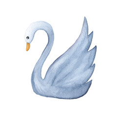 watercolor illustration of indigo swan on white background. hand drawn