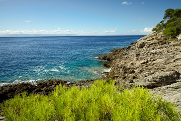 Green bush and rocks near the sea at San Domino island. Apulia. Italy