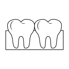 Teeth in gum dental care black and white