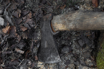 ax with wooden handle