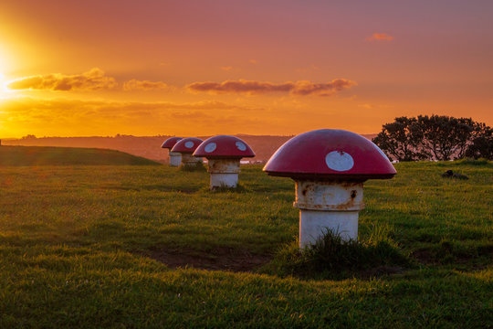 Mushroom vents at sunset on Mount Victoria, Takarunga, Auckland, New Zealand