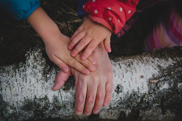 senior and kids hands in nature, grandmother with grandkids