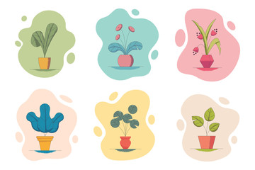 Vector illustration set of houseplants in flowerpots.