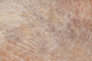 Vintage grunge of brown drum  , nature patterns leather texture for background