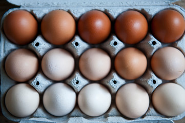Chicken eggs are arranged in a gradient color tone and gold color in eco cartoon