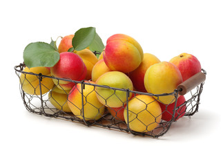 Fresh cut apricot fruits isolated on white background, with clipping path