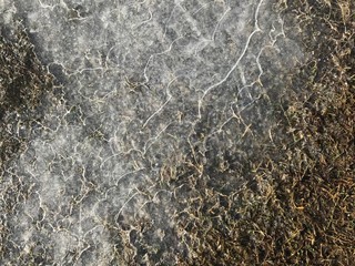  ice on spring grass
