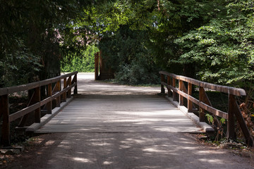 Obraz premium An old bridge in the park
