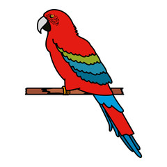 tropical and exotic parrot