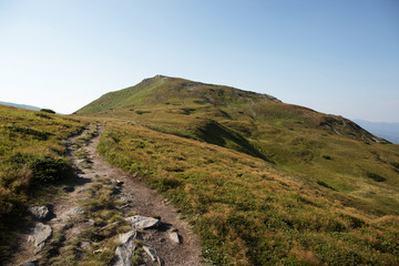 Fototapeta premium road in the mountains