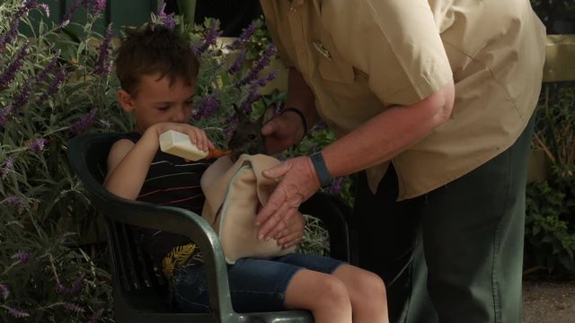 Boy is sitting on a chair, a female park ranger hands him a joey kangaroo to feed with a bottle of milk. LOCKED DOWN SHOT.