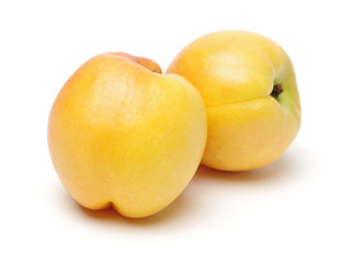 Nectarine fruit on white background 