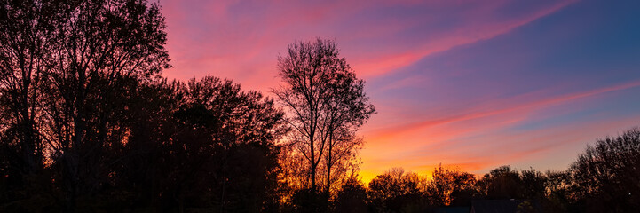 Fototapeta na wymiar evening sky and tree silhouettes.