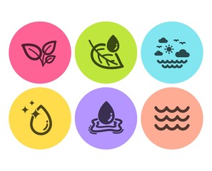 Leaves, Water drop and Leaf dew icons simple set. Travel sea, Water splash and Waves signs. Grow plant, Crystal aqua. Nature set. Flat leaves icon. Circle button. Vector