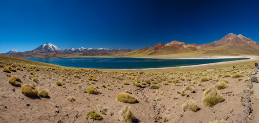 Amazing Lake Miscanti gigapan in the highlands of Chile