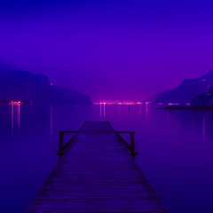 Landscape in purple lilac colors.
