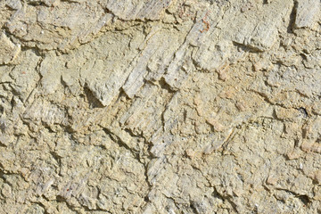 Stone,rock texture
