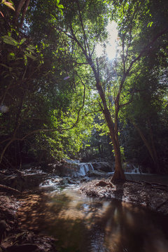 Waterfall green forest river stream landscape ,Waterfall hidden in the tropical jungle at National Park,Thailand.