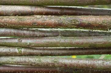woven fence, wood background, sticks brown