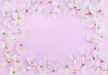 Fototapeta na wymiar Floral pattern made of flowers of cherry on pink background. Flat lay, top view.