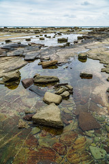 Impressionen von der Felsküste bei Forresters Beach  in New South Wales Australien