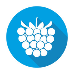 Raspberry vector blue icon in modern flat style isolated. Raspberry can support is good for your web design.