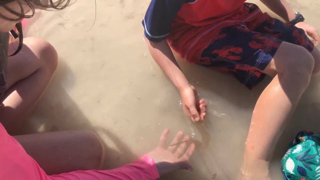Children playing in water at beach