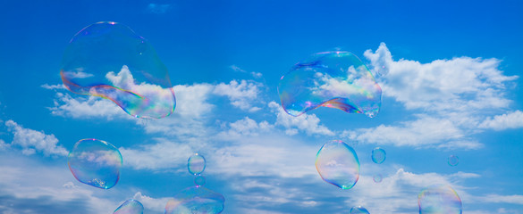 Realistic soap bubbles made with water and soap dish fluttering on sky background - concept image