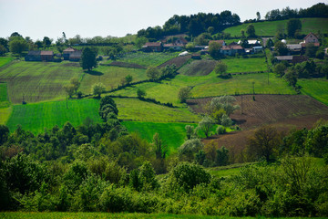 Fototapeta na wymiar view of rice fields