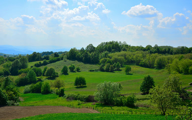 Obraz premium landscape with green field and blue sky