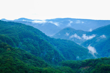 Fototapeta premium 霧の掛かる山並み 八甲田