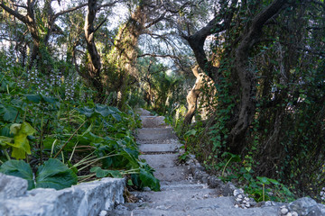 Upper Rock Gibraltar