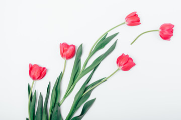 Abstract spring flat lay arrangement