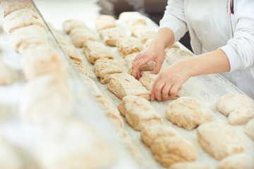 Baker's hands preparing the dough for baking bread .