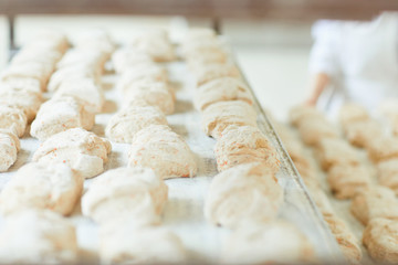 Raw bread on trays before baking at the bakery.