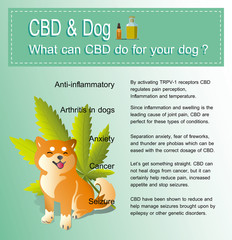what can CBD do your dog can help your body benefits of cannabis.