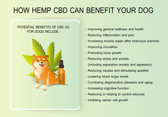 how hemp cbd can benefit your dog