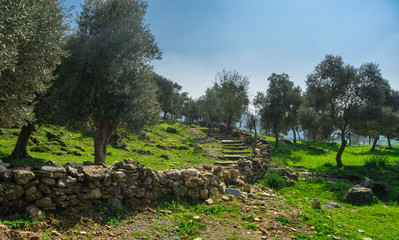 Obraz premium Euromos Ancient City ruins and stairs from Milas, Aydin, Turkey. South Necropolis Way.Greek and Roman settlement