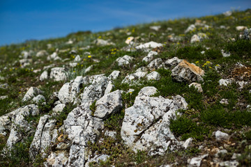 Close up mountain rock path