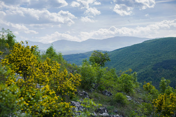 Mountain view in the spring