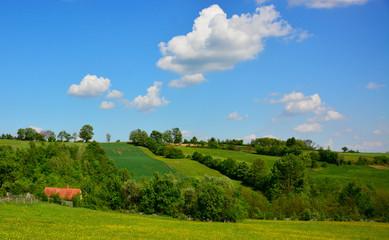 Naklejka premium green field and blue sky