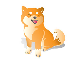 The orange Chiba dog is smiling, fresh and friendly on a white background.
