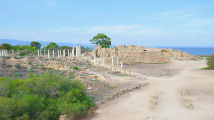 Fototapeta na wymiar Well preserved ruins of ancient city Salamis located near Famagusta, Turkish Northern Cyprus. The Corinthian columns were part of Salamis Gymnasium.