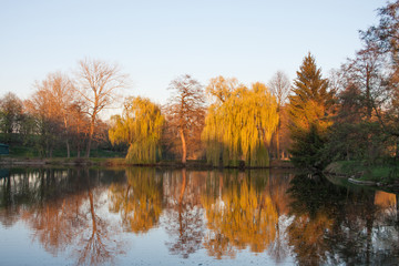 Spring corners with a pond and trees.