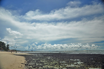 ARRECIFE DE SANTA RITA, RECIFES