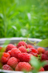 Pink fresh raspberries in an iron vessel in the garden on the background of green grass Berry Fruit Sadovina Healthy Food hack close up