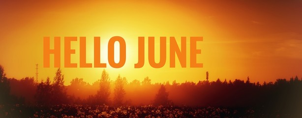 Banner hello june. Text on the photo. Text hello June. New month. New season. Summer month. Text on...